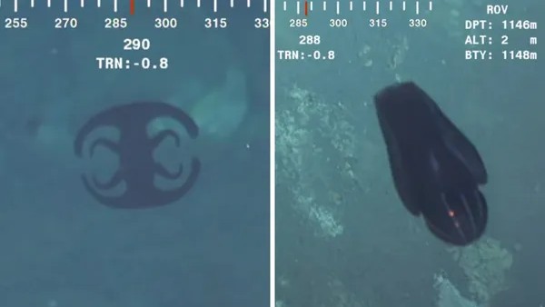 पिछले साल भी ऐसी घटना पिछले साल भी ऐसी घटना