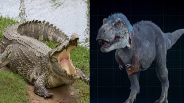 प्रलय में मिल गये डायनासोर