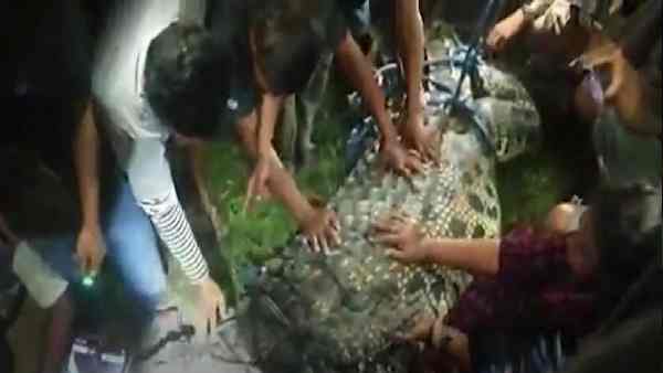 स्थानीय लोगों को घड़ियाल पर दया आती थी