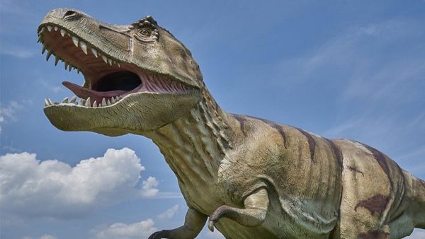 छोटे पौधे खाते थे ऑर्निथोपोड