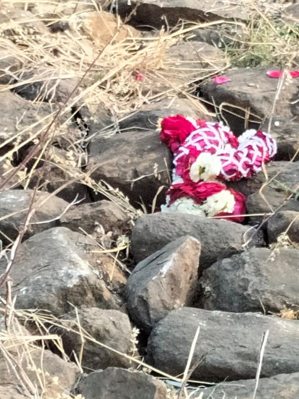 ये भी हुए घायल