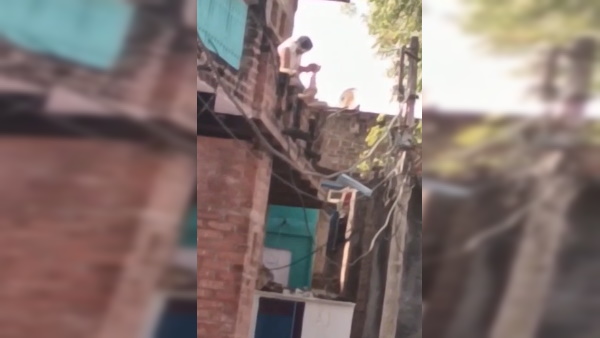 मानसिक आरोग्यशाला में भिजवाया