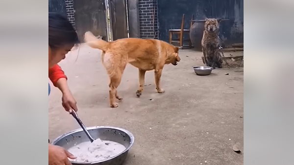 एक-दूजे को बुलाकर ही साथ में खाते हैं खाना