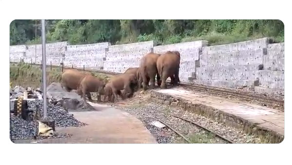 ट्रेन आ जाती तो होता बड़ा भयानक हादसा