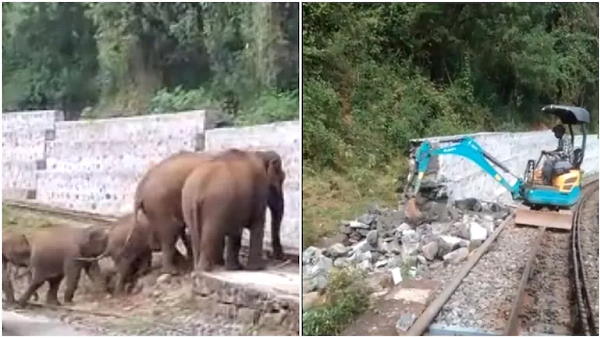 हाथियों की रेलवे पटरियों पर मशक्‍कत का वीडियो