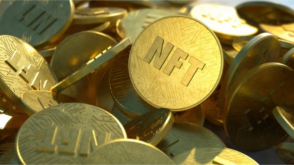 NFT कलेक्शन जारी कर कमाए 1.75 करोड़