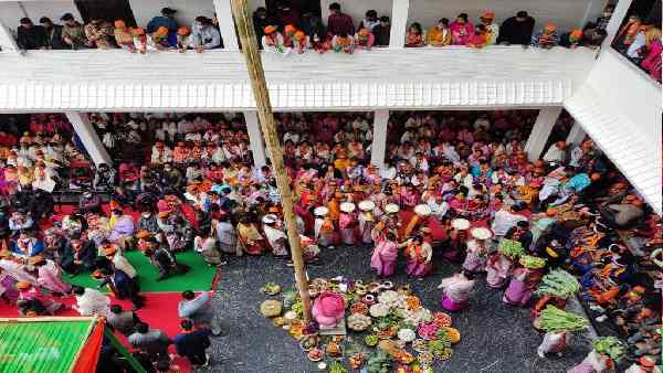 चींटी से बनी मिट्टी का होता है झंडे में इस्तेमाल