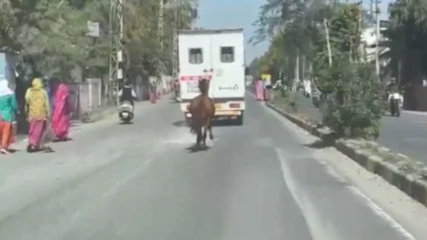  एम्बुलेंस चालक ने गति की धीमी