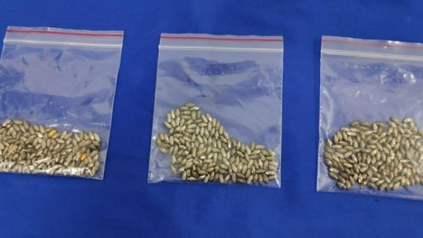 18 लाख रुपए है सोने की कीमत