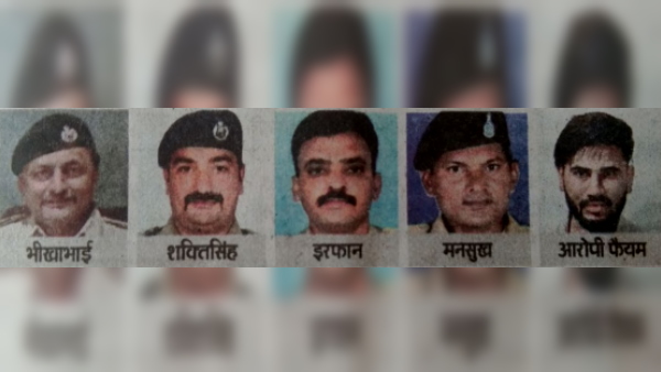 हादसे का कारण मवेशी