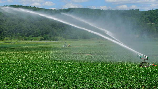 With the new technology, the water of the pond can be used in agriculture, says haryana government