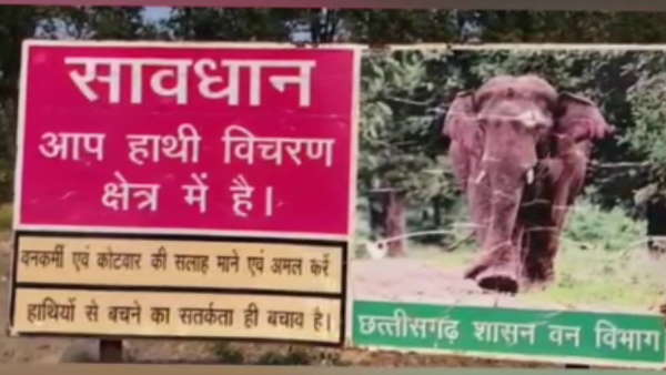 जंगली हाथियों से प्रभावित है प्रतापपुर 