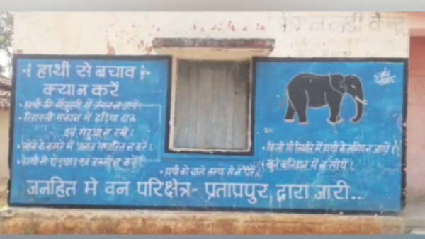 हाथियों के डर से नहीं देता कोई बेटी हाथियों के डर से नहीं देता कोई बेटी