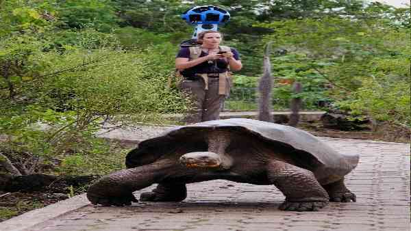 टोकेलाउ