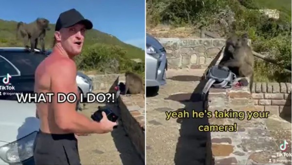 सोशल मीडिया पर वायरल हुआ वीडियो सोशल मीडिया पर वायरल हुआ वीडियो