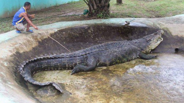 बेहद शातिर था 'ओसामा', ऐसे करता था हमला