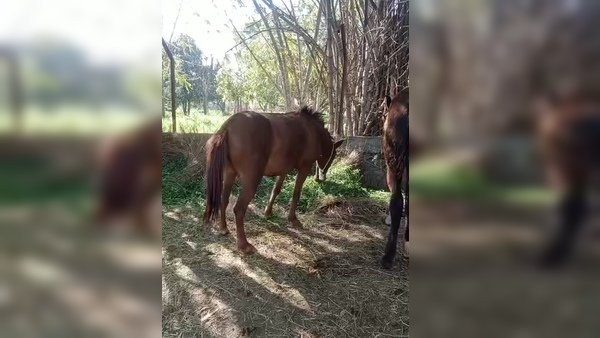 दूसरी उसके पास रुकी हुई