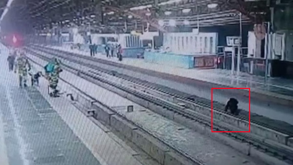 फोन देखते हुए अचानक मेट्रो ट्रैक पर गिरा शख्स 