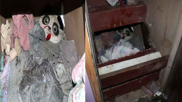 बायोलॉजिकल नॉन-कस्टोडियल पेरेंट्स ने किया था किडनैप 