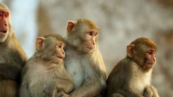 मार्विन गे के गाने गाए