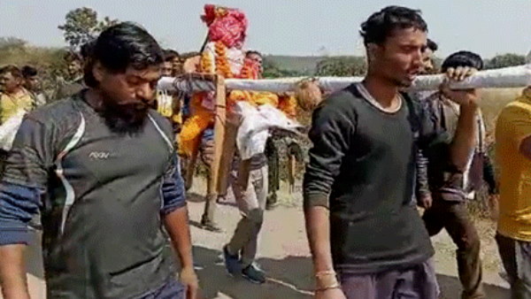 बीमारी की वजह से बंदर की मौत