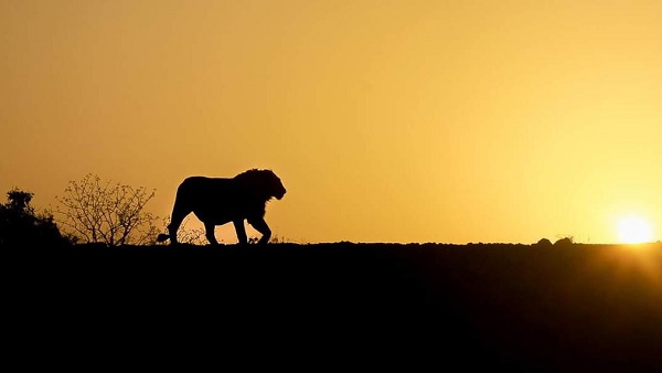 'ऐसा गुजरात में अक्‍सर होता रहता है'