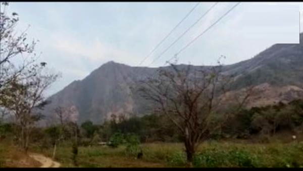 तमिलनाडु का राजकीय पशु है यह