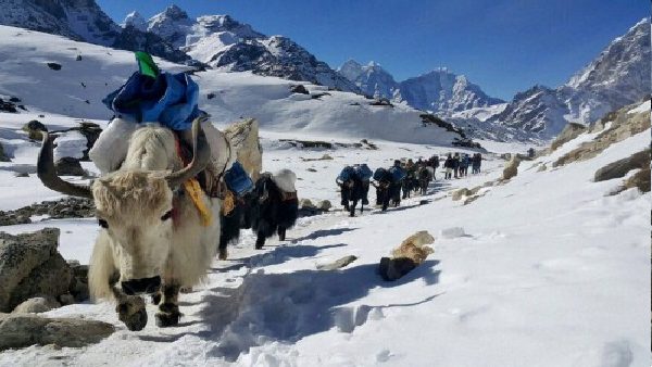 6 वैज्ञानिकों की टीम ने इकट्ठे किए थे नमूने