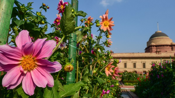 कैसे करें बुकिंग, क्या हैं जरूरी दिशा-निर्देश