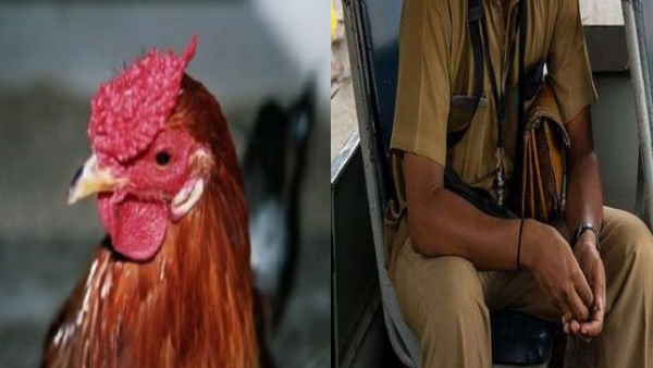 सरकारी बस में कर रहा था यात्रा सरकारी बस में कर रहा था यात्रा