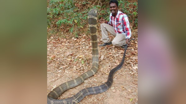 सांप की वजह से कई बार जाना पड़ा अस्पताल