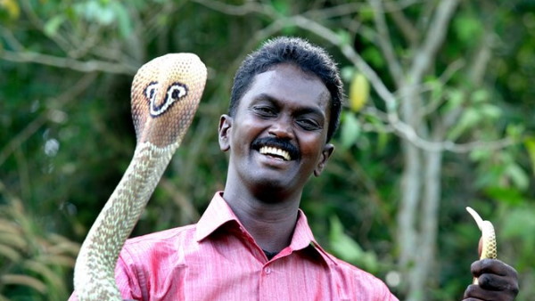 3000 से अधिक बार सांपों ने काटा