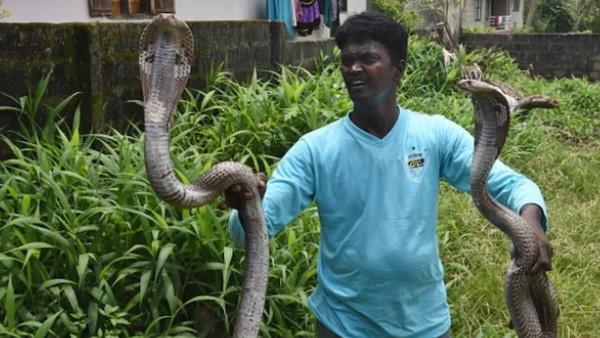 12 साल की उम्र में सांप से हुई दोस्ती