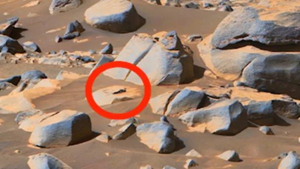 'हमसे ज्यादा बुद्धिमान'