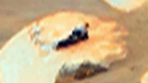 'लेटा है एलियंस'