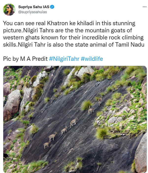 पहाड़ों पर खड़ी चढ़ाई चढ़ सकते हैं