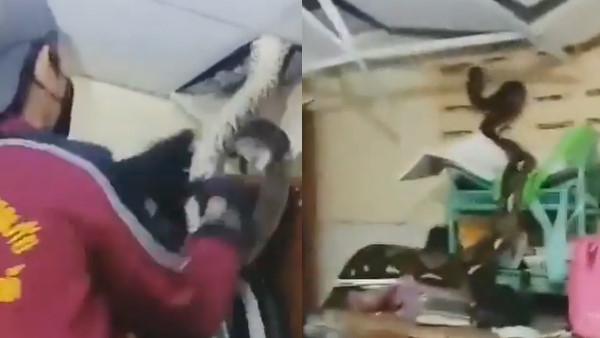 वायरल हुआ वीडियो वायरल हुआ वीडियो