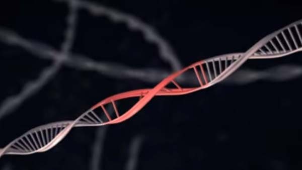 दूसरे की जिंदगी बचाते गई जान