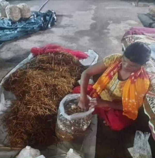 इससे आत्मनिर्भर बनाया जा सकेगा