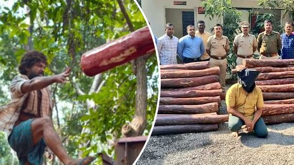 फिल्म की कहानी से बनाया तस्करी का प्लान