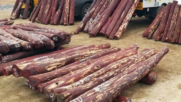 करोड़ों की लाल चंदन जब्त