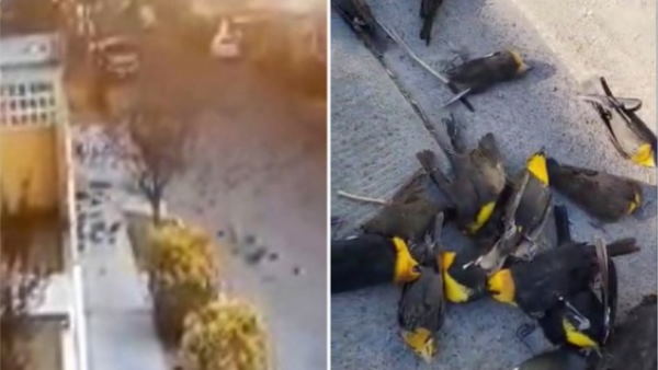 दुनियाभर के लोग हैरान