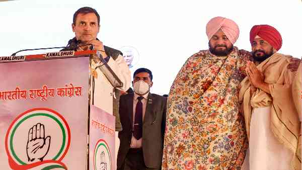 राजनेता 10-15 दिन में पैदा नहीं होते-राहुल