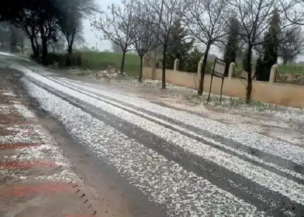Weather today 26 february 2022: India Meteorological Department rains forcast