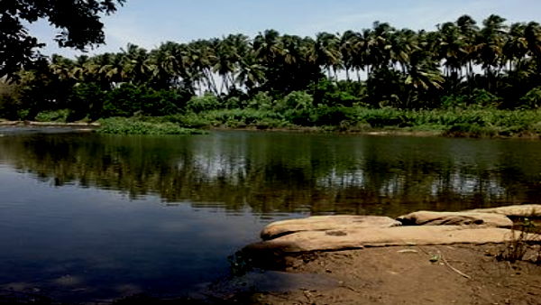 With the new technology, the water of the pond can be used in agriculture, says haryana government