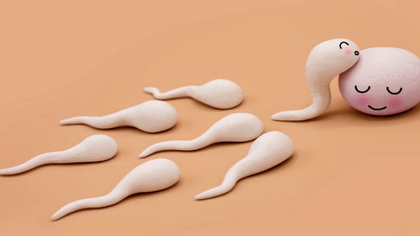 वायु प्रदूषण दो तरह से शुक्राणुओं को प्रभावित करता है