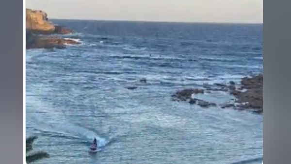 बचाव दल को मिला केवल तैराक के शरीर का अवशेष 