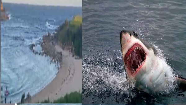 मदद के लिए चिल्‍लाता रहा तैराक लेकिन 