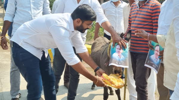 गधे चोरी का लगा आरोप