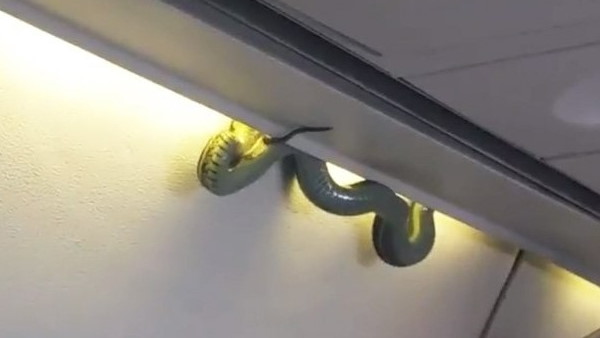 प्लेन को किया गया डायवर्ट